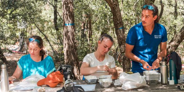 Près de Marseille, une forêt cobaye privée d’eau pour étudier les effets du changement climatique