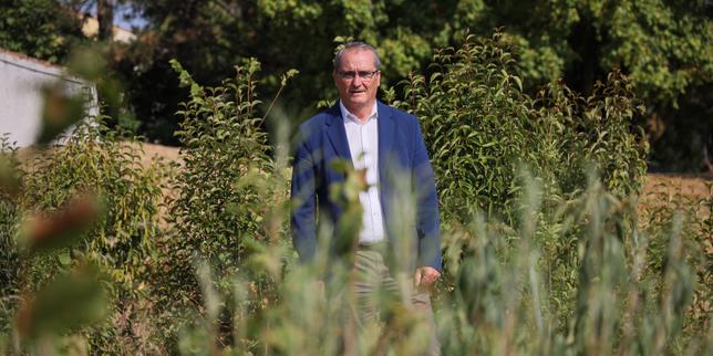 A L’Houmeau, en Charente-Maritime, le maire préempte les terres agricoles polluées aux pesticides pour en faire des prairies