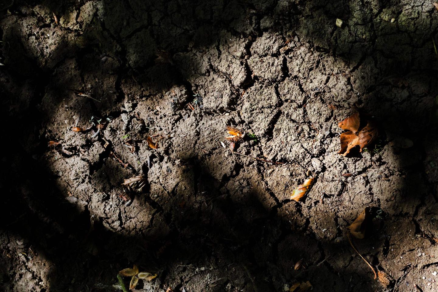 Sequía: los pequeños cursos de agua en un estado de degradación «excepcional», según la Oficina francesa de la biodiversidad