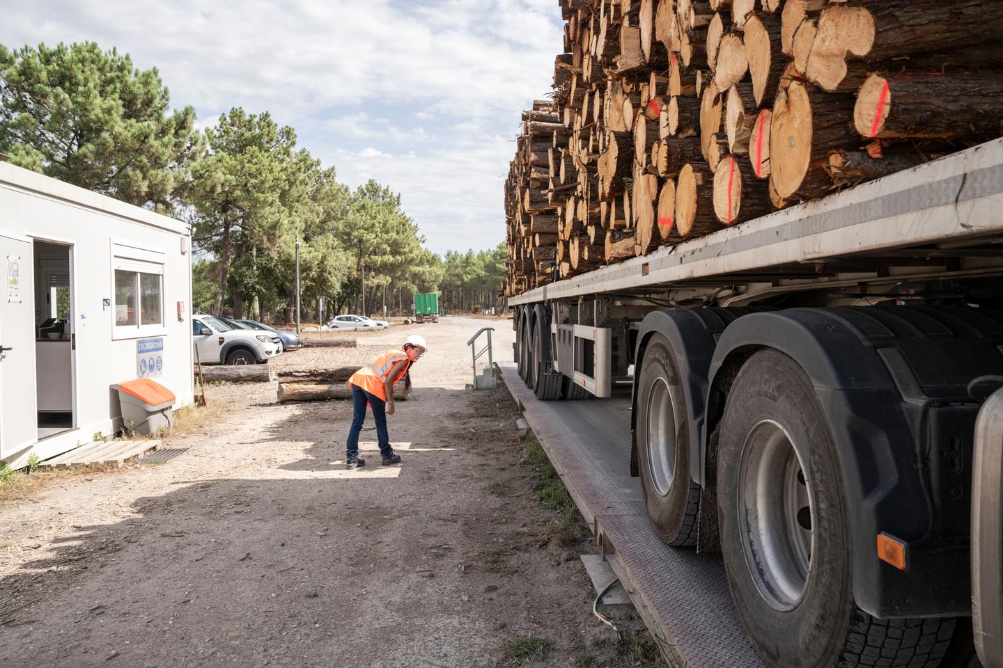 After wildfires, southwest France's timber sector preps for mass influx of salvageable wood