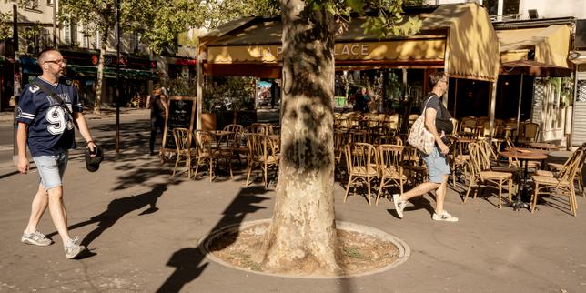 EN DIRECT, canicule : des températures qui ont dépassé 40 °C dans le Cher et la Vienne ; 80 départements en vigilance orange jeudi
