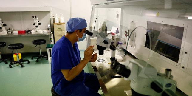 En Chine, un embryon congelé issu d’une relation extraconjugale défie la justice