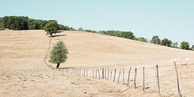 EN DIRECT, canicule : 80 départements en vigilance orange ; 50 font face à un risque « élevé » d’incendies