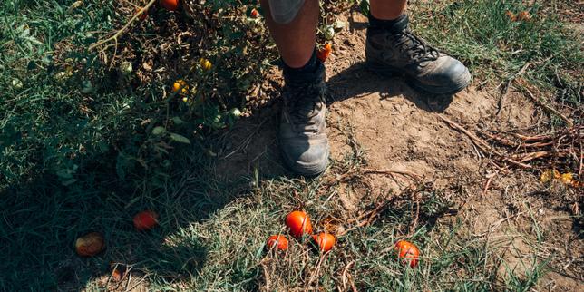 En France, plus de 140 000 personnes se déclarent « sinistrées climatiques »
