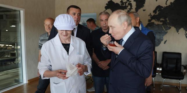 Wladimir Putin bei einem Besuch auf den Kurilen-Inseln, umstritten mit Japan