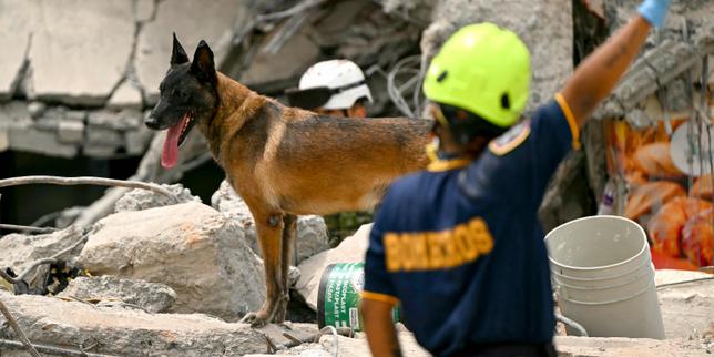 Séisme en Colombie : la recherche de survivants entre dans une phase décisive alors que le pays compte déjà 265 morts