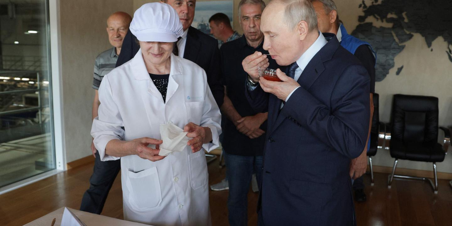https://img.lemde.fr/2026/08/13/625/0/5122/2561/1440/720/60/0/2592392_ftp-1-xs2umyuy1q28-5827613-01-06.jpg