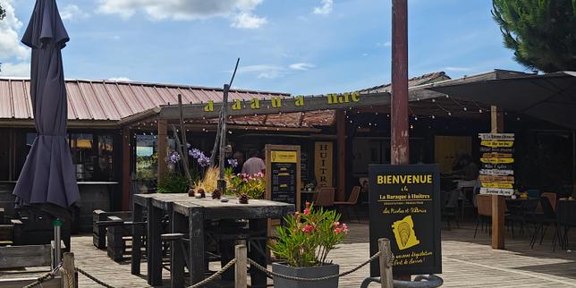 A Gujan-Mestras, en Gironde, les fragiles huîtres de la baraque de Viktoria et Nicolas Courbin