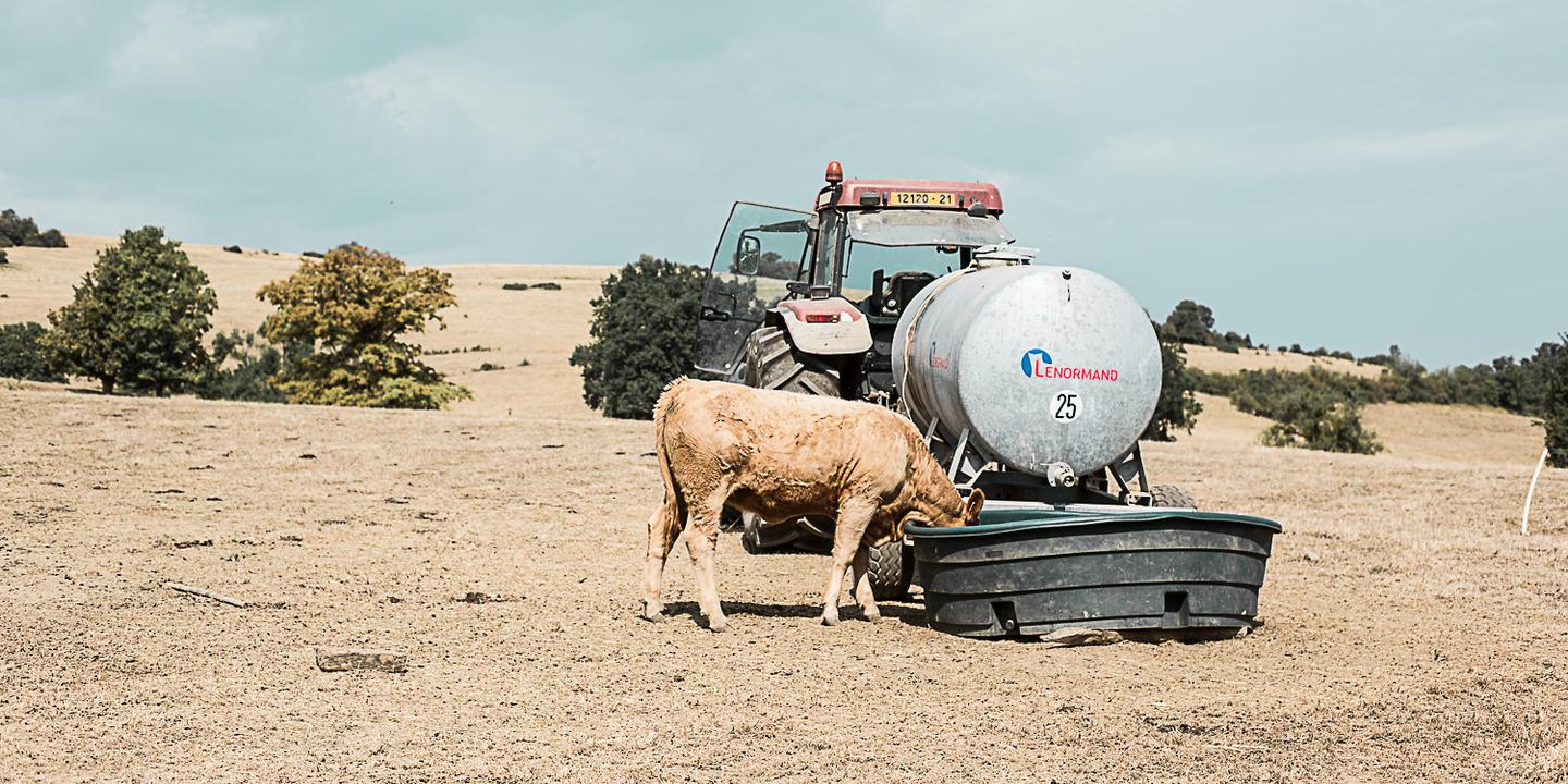 Loi urgence agricole validée par le Conseil constitutionnel