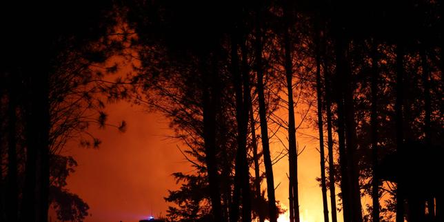VIDEO Un nouvel incendie dans les Landes a parcouru 1 100 hectares