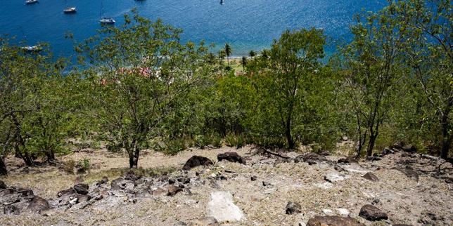 Aux Antilles, El Niño provoque une sécheresse inhabituelle en pleine saison cyclonique