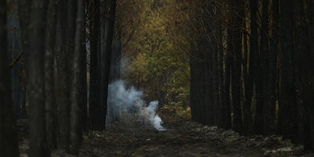 EN DIRECT, incendies et canicule : Sébastien Lecornu attendu en Gironde lundi matin, l’incendie dans les Landes est « fixé »