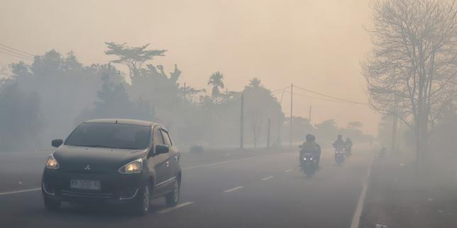 En Indonésie, 200 000 hectares ont brûlé depuis le début de l’année, mais le pire reste à venir, alertent les autorités