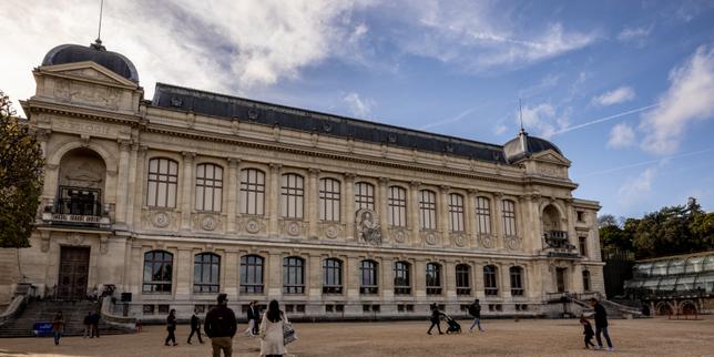 Au Muséum national d’histoire naturelle, le règne de la débrouille un an après une cyberattaque