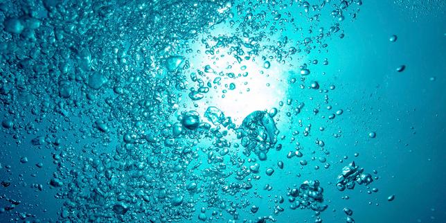 Les enseignements inattendus du chant des bulles
