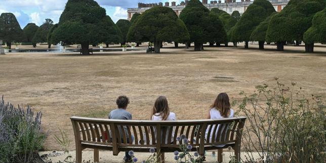Irène Pereira, philosophe : « On souhaite que les jeunes se mobilisent, mais on ne les forme qu’à voter et pas à être des défenseurs des droits humains et environnementaux »