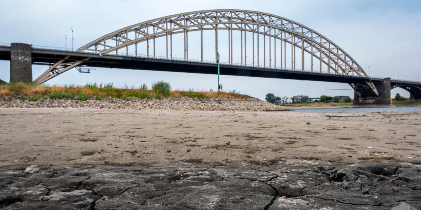 Les Pays-Bas se découvrent à leur tour vulnérables à la sécheresse
