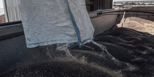 Le calvaire des agriculteurs ukrainiens, entre céréales bloquées et fermes bombardées : « Ils frappent délibérément nos silos, nos hangars, ils visent les fermiers »