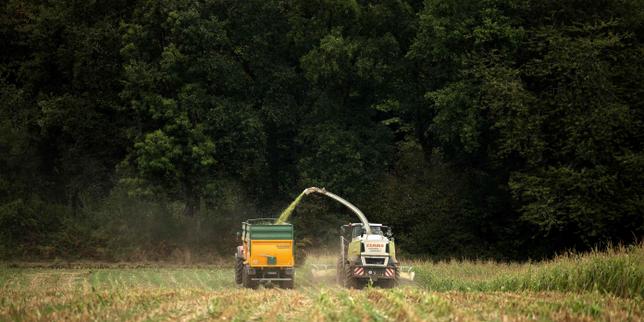 La mise en œuvre de la politique agricole commune jugée « inadaptée » par la Cour des comptes