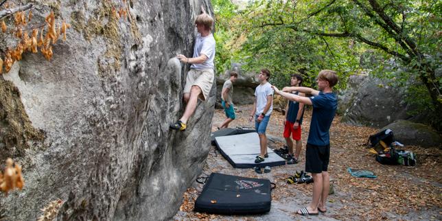 Dans la forêt de Fontainebleau en grande partie rouverte, le bonheur des habitués et des interrogations sur l’avenir