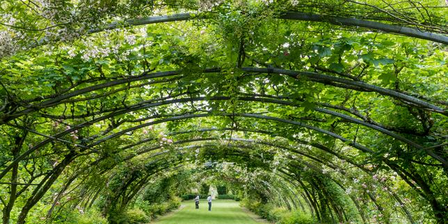Cinq (très beaux) jardins des Hauts-de-France à visiter