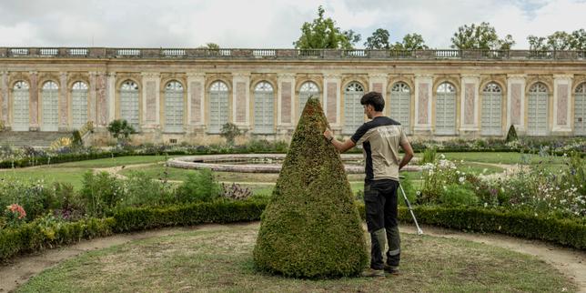 Le modèle des jardins à la française sous la menace du réchauffement climatique