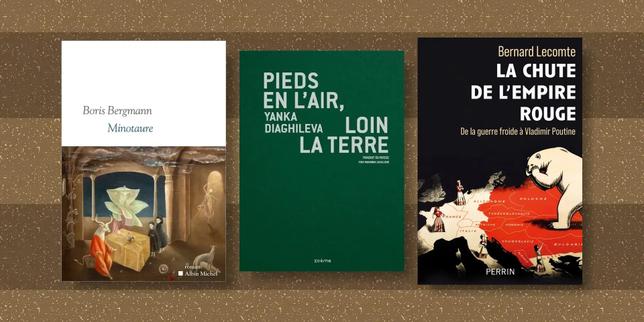 Les brèves critiques de la rentrée littéraire : Claire Castillon, Bernard Lecomte, Jane Sautière, Enzo Traverso…