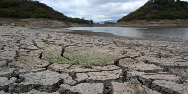 Qu’est-ce que le phénomène El Niño, qui déstabilise le climat et pourrait être « le plus puissant » jamais enregistré ?