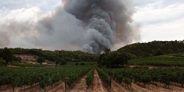 Les fumées toxiques des mégafeux de forêt à l’origine d’au moins 100 000 morts par an dans le monde