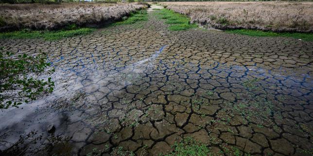 Canicule : plus de 800 morts « en excès » en France entre le 27 juillet et le 20 août
