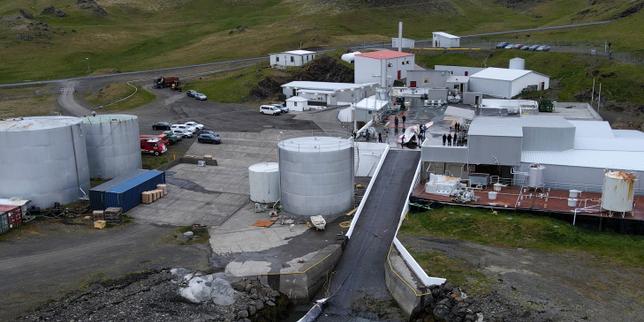 The return of whale hunting in Iceland stirs public debate