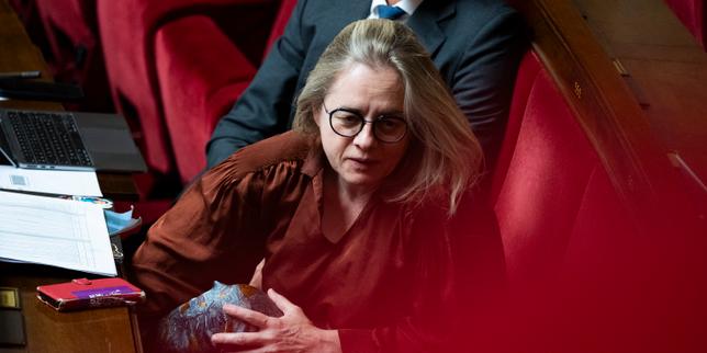 Loi intégrale contre les violences sexuelles faites aux femmes et aux enfants : des questions toujours en suspens alors que débutent les travaux parlementaires