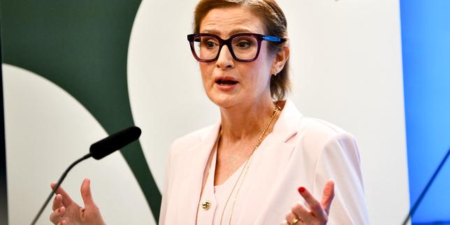 « Quand vous êtes aussi malade, vous réfléchissez aux valeurs qui vous tiennent le plus à cœur » : en Suède, Birgitta Ohlsson reprend les armes contre l’extrême droite
