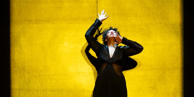 A l’Opéra Garnier, le blues de Joséphine Baker chanté par Julia Bullock