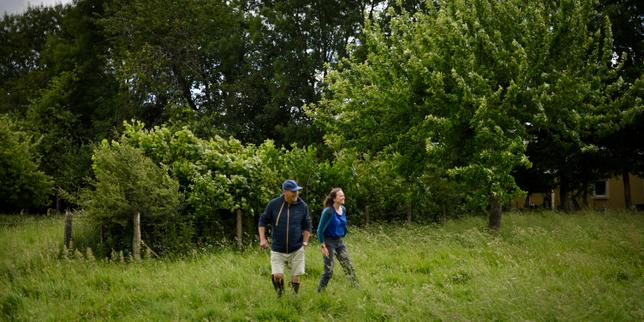 Comment on a redonné vie à notre bocage en replantant des haies et en creusant des mares