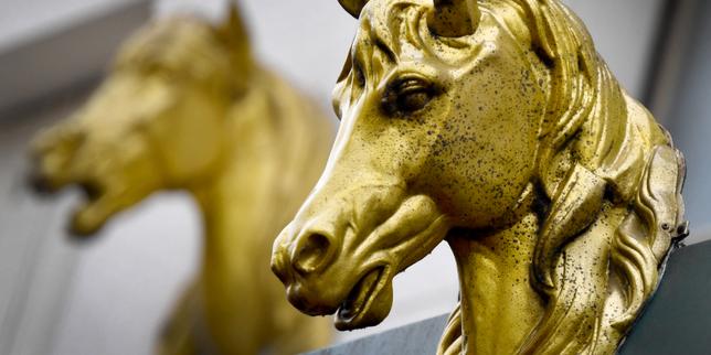 Fraude massive à la viande de cheval : 24 perquisitions menées dans quatre pays européens, dont la France
