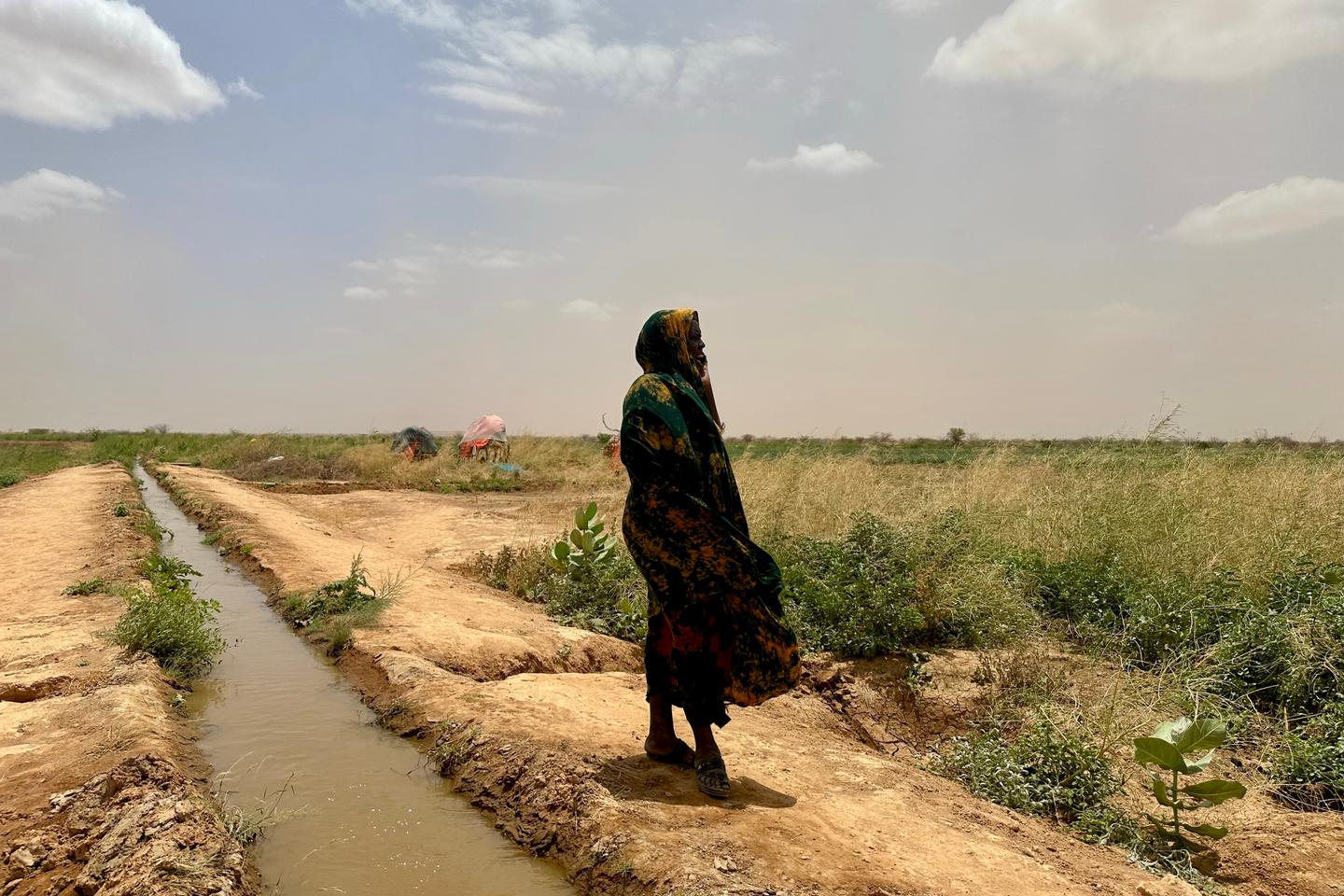 En Ethiopie, le changement climatique pousse les éleveurs pastoraux à se convertir à l’agriculture vivrière : « C’est loin d’être une solution miracle »