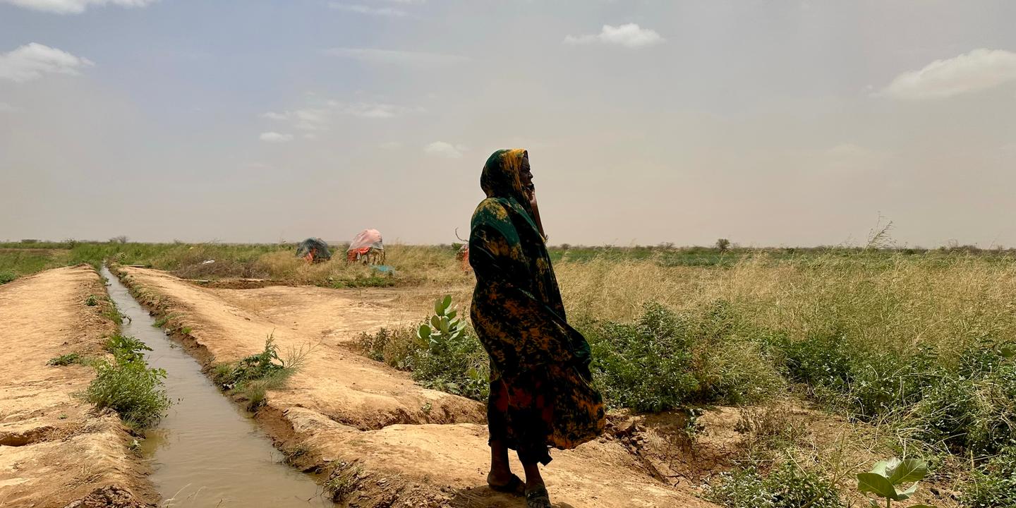 En Ethiopie, le changement climatique pousse les éleveurs pastoraux à se convertir à l’agriculture vivrière : « C’est loin d’être une solution miracle »
