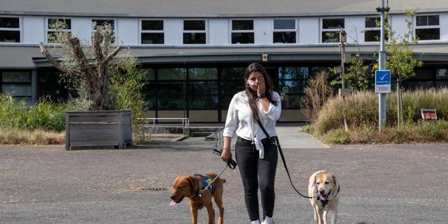 Aux Pays-Bas, la douleur des victimes du système de la protection de l’enfance en milieu fermé