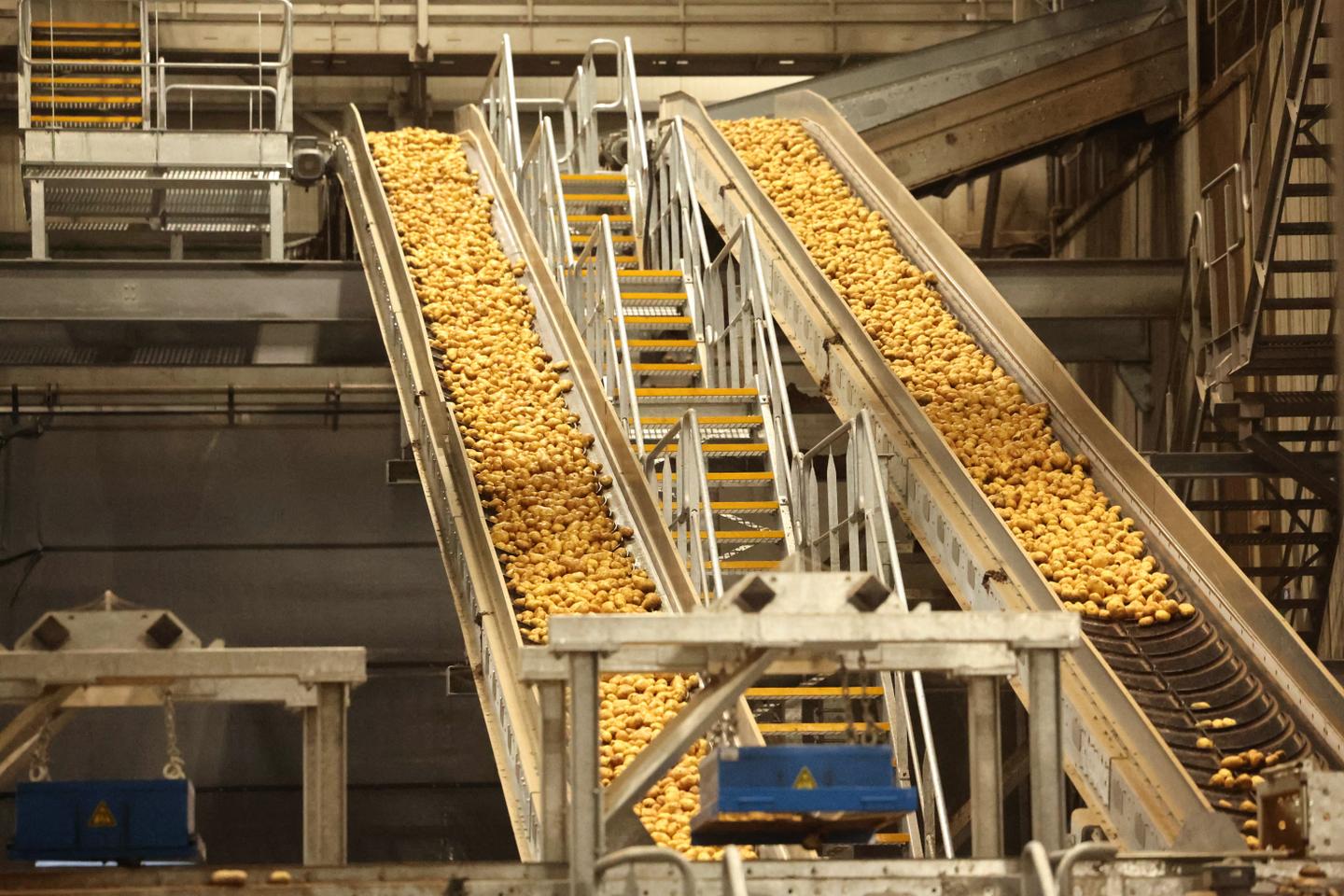 https://www.lemonde.fr/economie/article/2026/09/16/des-champs-aux-usines-a-frites-la-crise-de-la-pomme-de-terre-frappe-les-hauts-de-france_6775316_3234.html social preview image