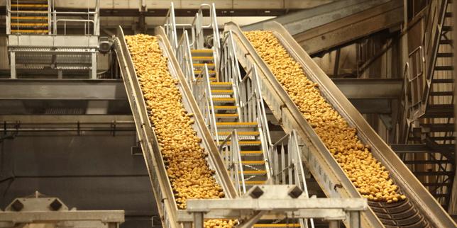 From the fields to the fry factories, potato crisis hits northern France