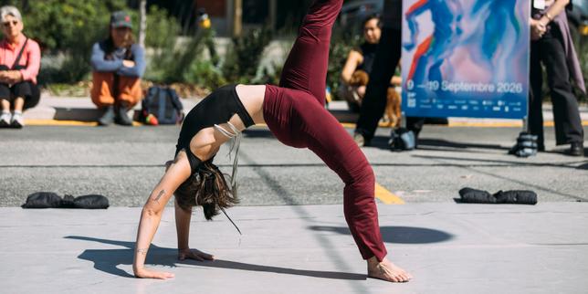 «&nbsp;nodus tollens&nbsp;», de Lamont, au marché Atwater, à Montréal (Canada), le 11&nbsp;septembre 2026.