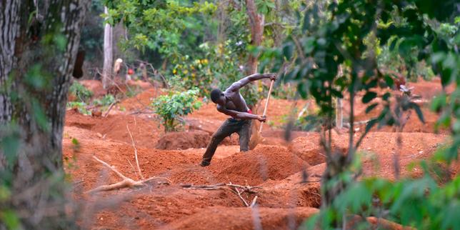 La Côte d’Ivoire se donne six mois pour éradiquer l’orpaillage clandestin