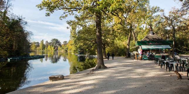 Une balade dans le bois de Vincennes, de la réserve ornithologique à une microferme maraîchère