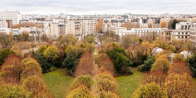Festival du Monde : L’Observatoire de Paris donne à voir la science à ciel ouvert