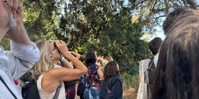 Au Festival du Monde, une balade ornithologique pour apprendre à regarder les oiseaux de Paris