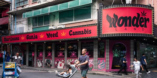 Derrière les « plans Thaïlande » proposés sur les réseaux sociaux, une filière massive d’importation de cannabis
