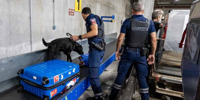 Saisies record dans les aéroports et services de police « saturés » : l’inquiétude des autorités devant l’essor du trafic de cannabis thaïlandais