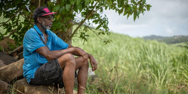 « Tout a brûlé » : en Martinique, l’agriculture souffre de la sécheresse persistante
