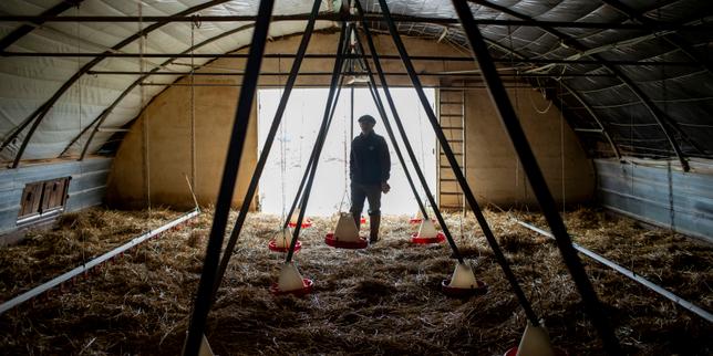 L’inquiétude sur le mal-être des agriculteurs grandit après une année catastrophique : « Les gens sont à bout »